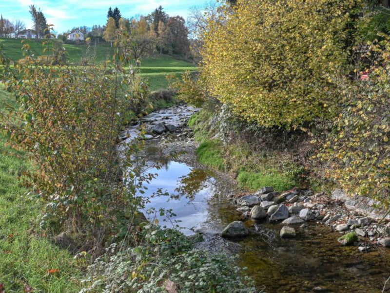 Steinach Bach, Fluss