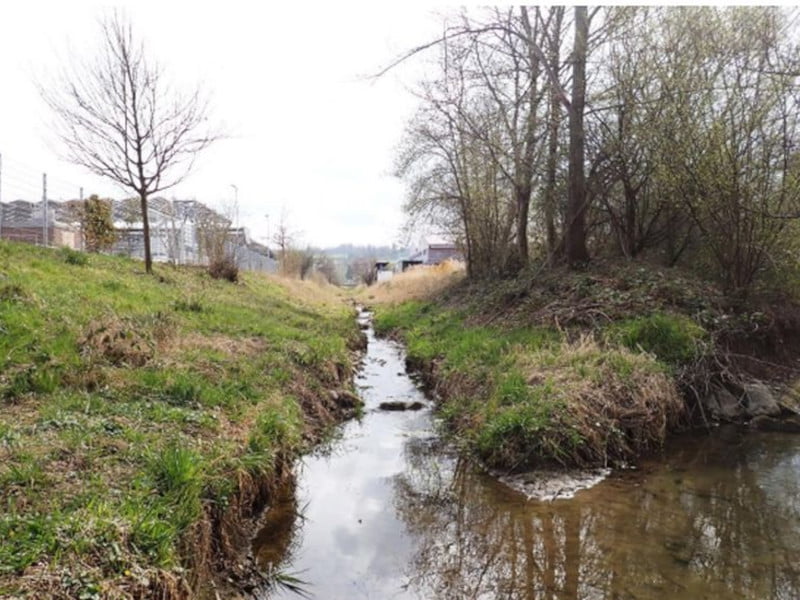 Mitwirkung Gewässerraum Morgental