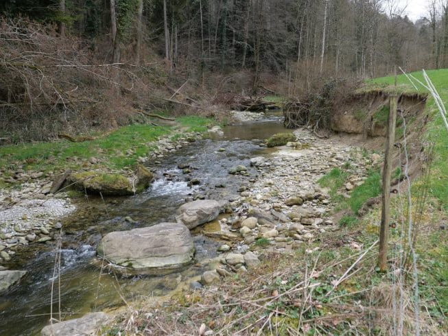 bach, Fluss, Steinach Bachsanierung
