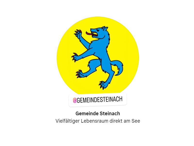 Instagram Steinach Werbung