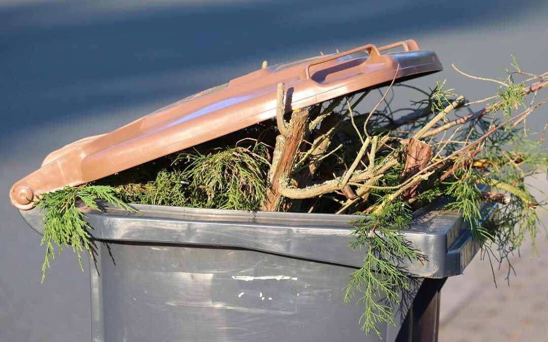 Änderung bei der Grüngutsammlung ab 2026