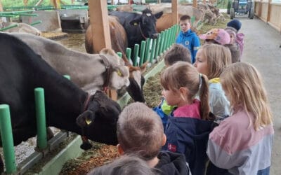 Besuch auf Schmids Bauernhof