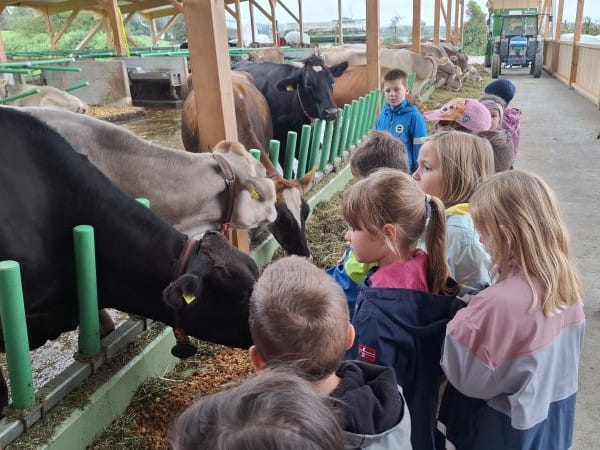 Besuch auf Schmids Bauernhof