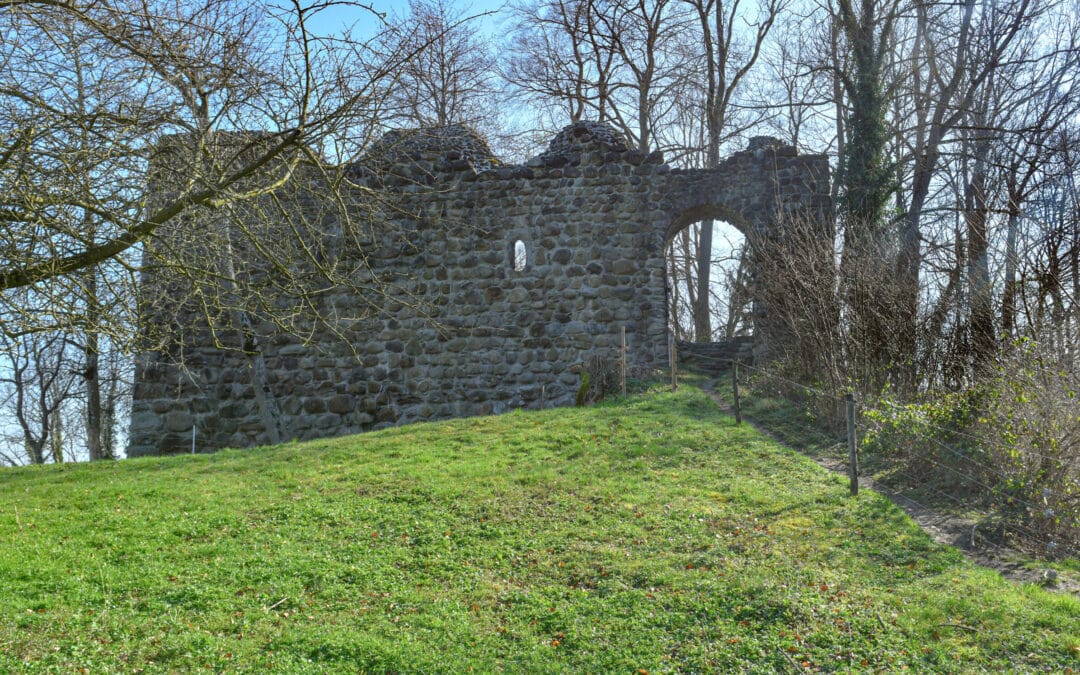Benötigen Sie Feuerholz für Ihren Grillplausch bei der Steinerburg?