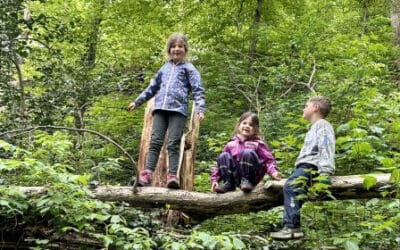 Impressionen durchs Kindergartenjahr