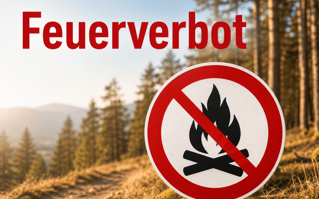 Grosse Waldbrandgefahr: Feuern im Wald verboten!